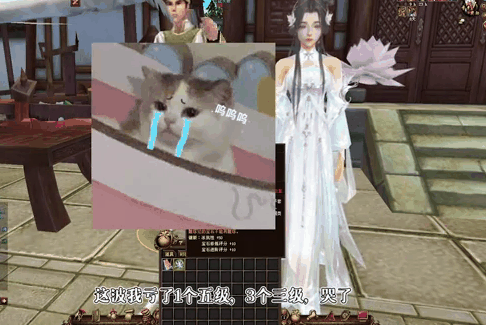 但是诚意人人都爱的爆伤限购宝石各职业从入门到大师都人手一个 但是诚意人人都爱的爆伤限购宝石各职业从入门到大师都人手一个